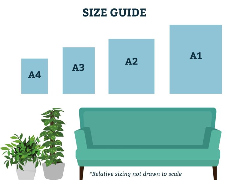 size guide picture