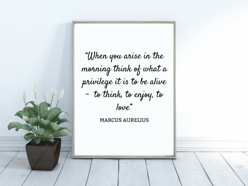 Marcus Aurelius Motivational Quote Poster