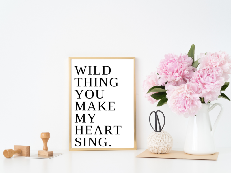 Wild Thing Poster