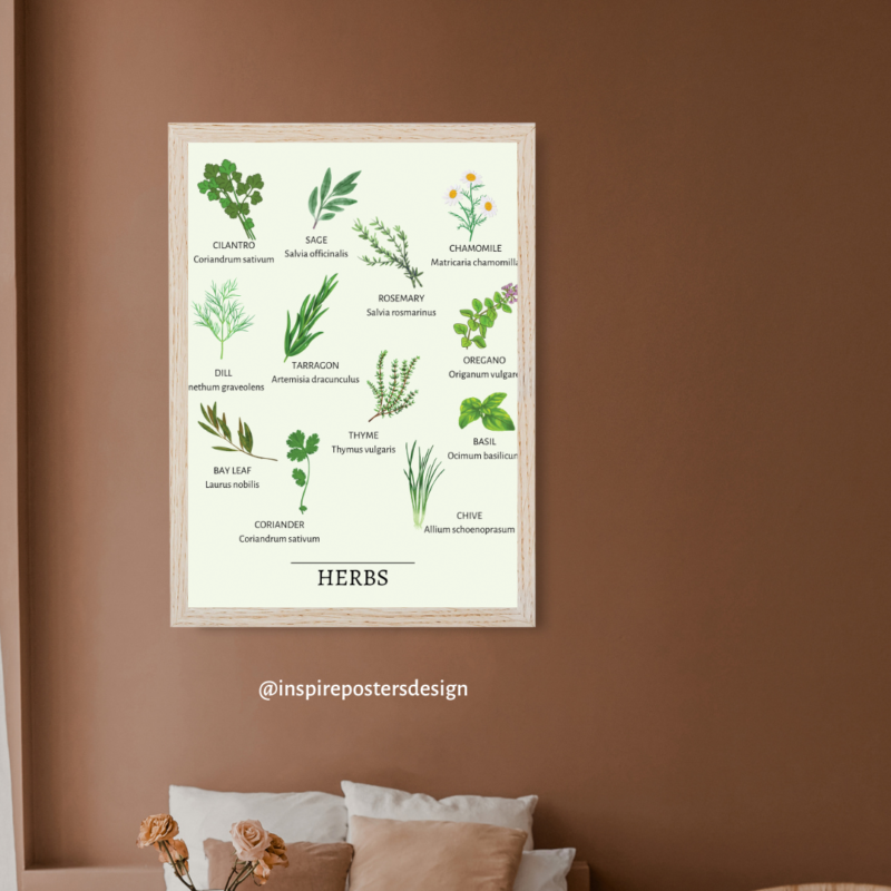 Herbs Poster
