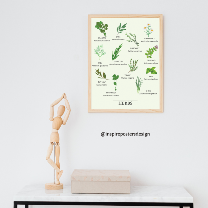 Herbs Poster