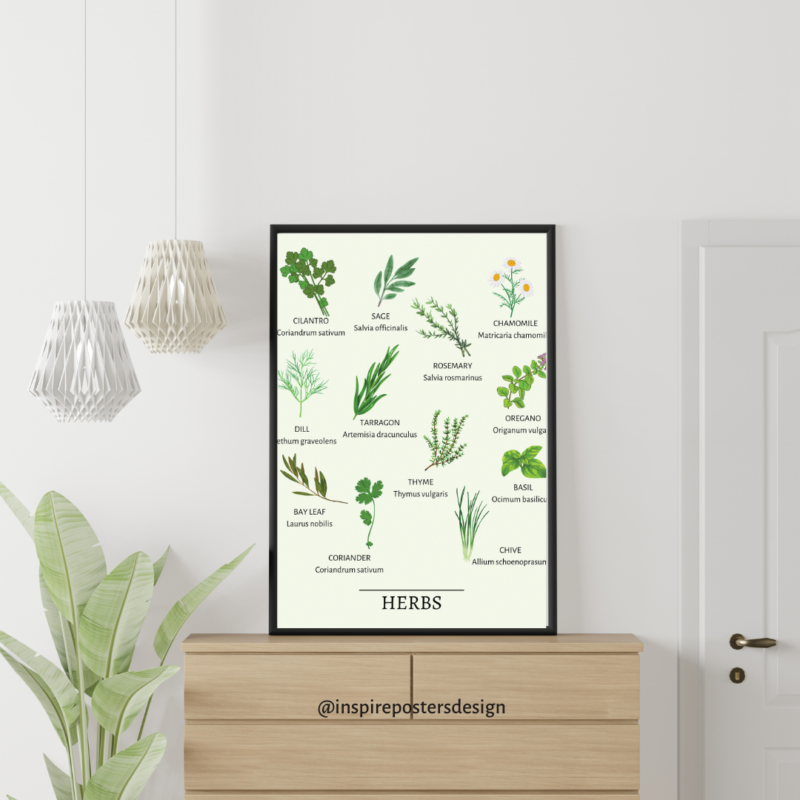 Herbs Poster